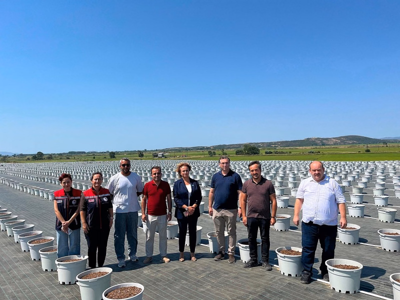 Edirne'de Dev Yaban Mersini Üretim Tesisi Kuruluyor - Görsel 3