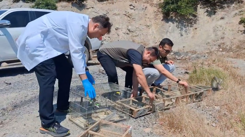 Kahramanmaraş'ta Kaçak Saka Kuşu Operasyonu: 2.2 Milyon TL Ceza - Görsel 1