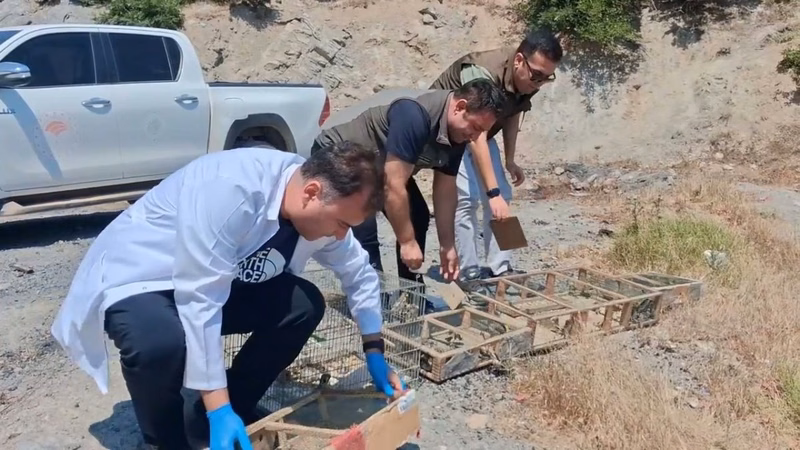 Kahramanmaraş'ta Kaçak Saka Kuşu Operasyonu: 2.2 Milyon TL Ceza - Görsel 2