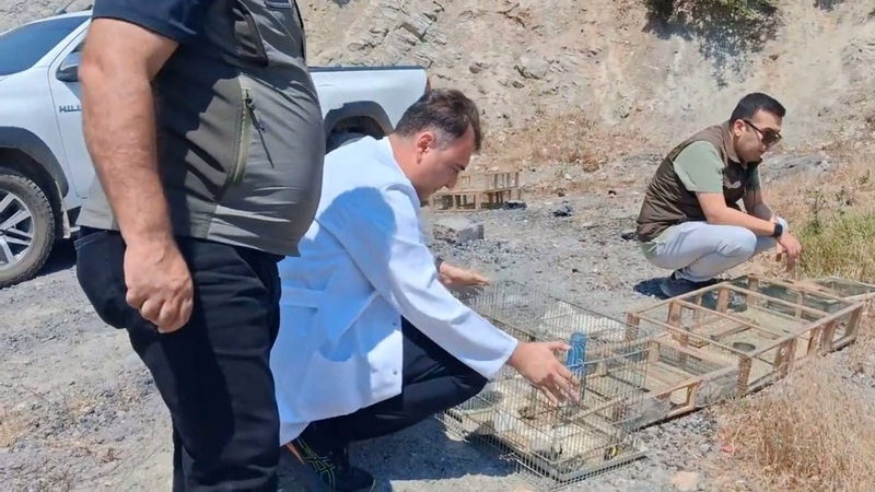 Kahramanmaraş'ta Kaçak Saka Kuşu Operasyonu: 2.2 Milyon TL Ceza - Görsel 3