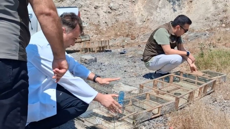 Kahramanmaraş'ta Kaçak Saka Kuşu Operasyonu: 2.2 Milyon TL Ceza - Görsel 4