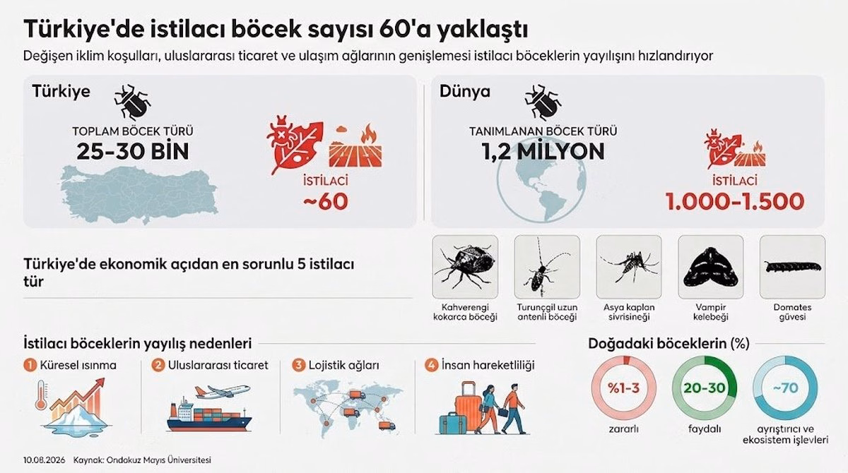 Türkiye'de 60 istilacı böcek türü tarımı ve halk sağlığını tehdit ediyor