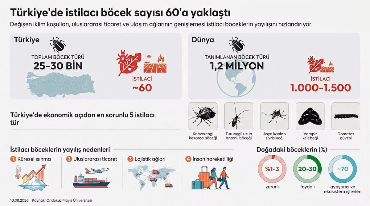 Türkiye'de 60 istilacı böcek türü tarımı ve halk sağlığını tehdit ediyor
