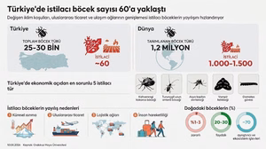 Türkiye'de 60 istilacı böcek türü tarımı ve halk sağlığını tehdit ediyor