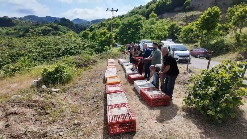 Doğa Koruma ve Milli Parklar Müdürlüğü'nden Kokarcaya Karşı Sülün Salımı - Görsel 2
