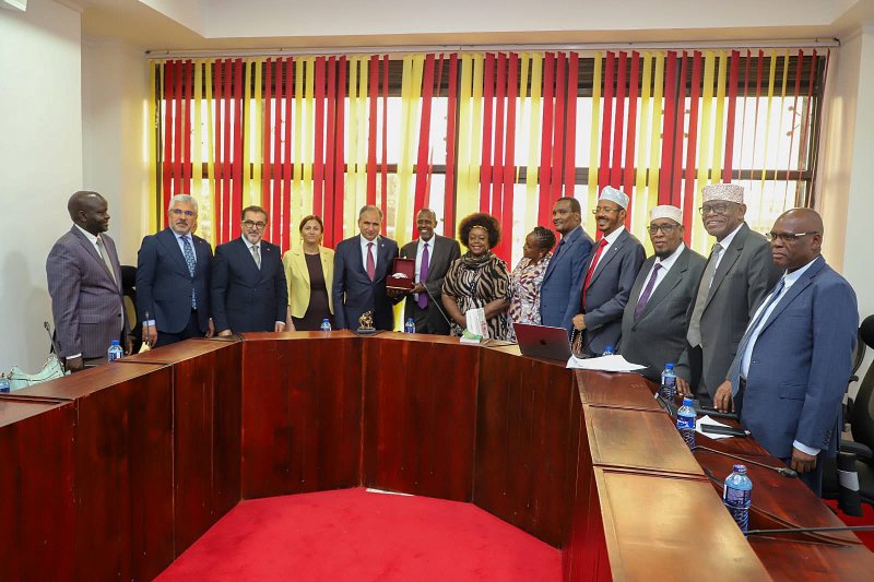 AK Parti Heyeti Kenya'da Stratejik Temaslarda Bulundu - Görsel 2