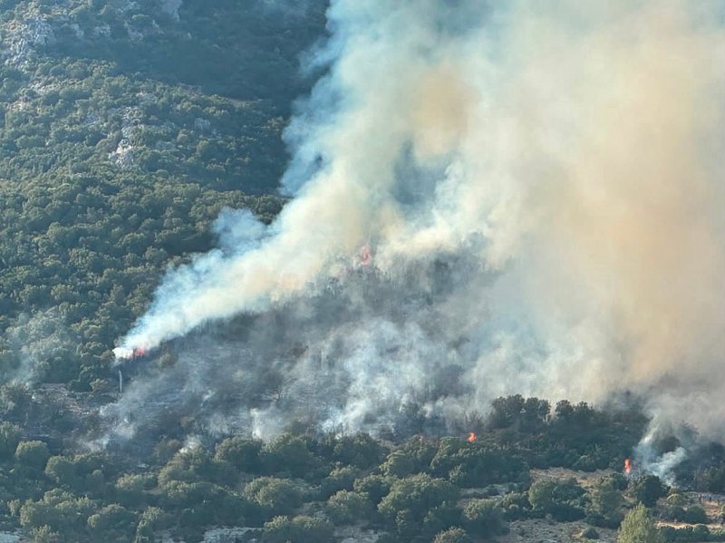 Antalya Milletvekili Abdurrahman Başkan'dan Kaş Orman Yangını Açıklaması - Görsel 1