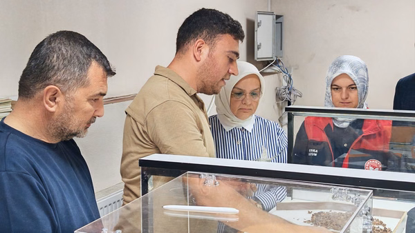 Düzce'de 2026 Sezonu Fındık Alımları Başladı: TMO Depoları İncelendi - Görsel 1