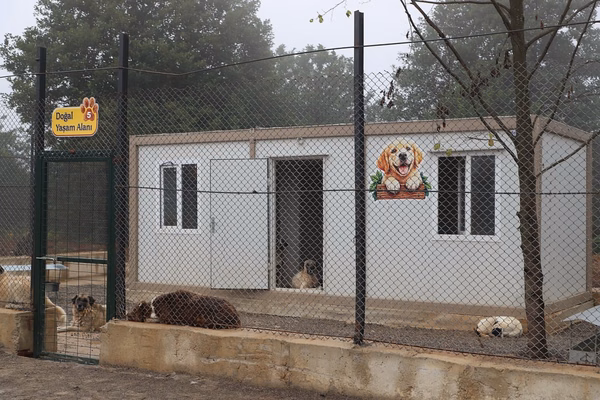 Ordu Gölköy'de Sokak Hayvanları Doğal Yaşam Alanı Hizmete Açıldı - Görsel 3