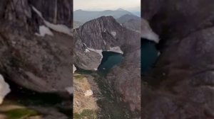 Doğa Koruma'dan Kızıl Geyikler Açıklaması: Yaban Hayatı Korunuyor