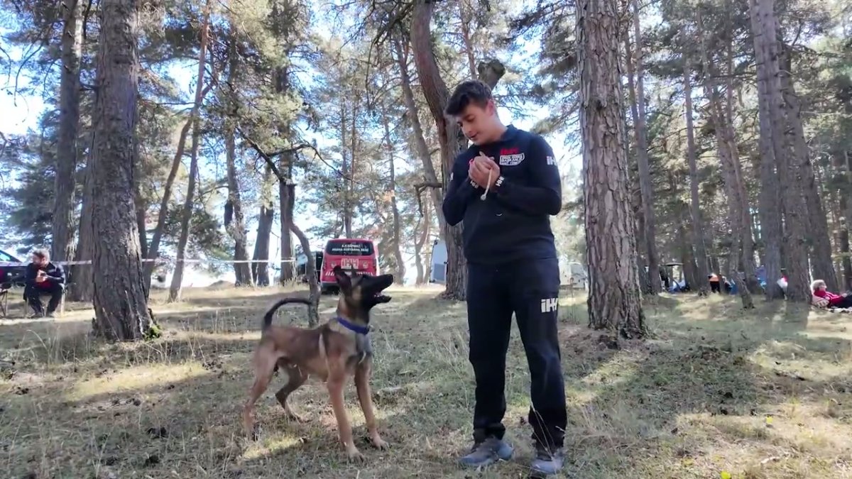 Bolu'da AFAD Bölgesel Akreditasyon Kampı Tamamlandı