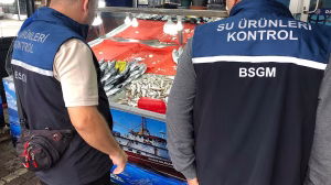 Bartın'da 2026-2027 Av Sezonu Su Ürünleri Denetimleri Aralıksız Sürüyor