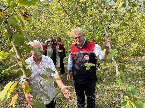 Karabük Yenice'de Kahverengi Kokarca ile Mücadele Sahada İncelendi - Görsel 2