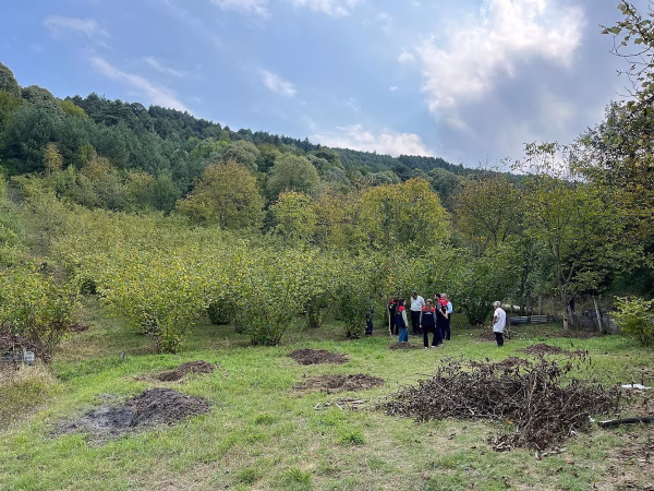 Karabük Yenice'de Kahverengi Kokarca ile Mücadele Sahada İncelendi - Görsel 3