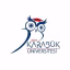 Karabük Üniversitesi