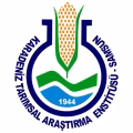 Karadeniz Tarımsal Araştırma Enstitüsü Müdürlüğü